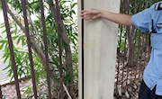 【日常工作】巡查校园围栏